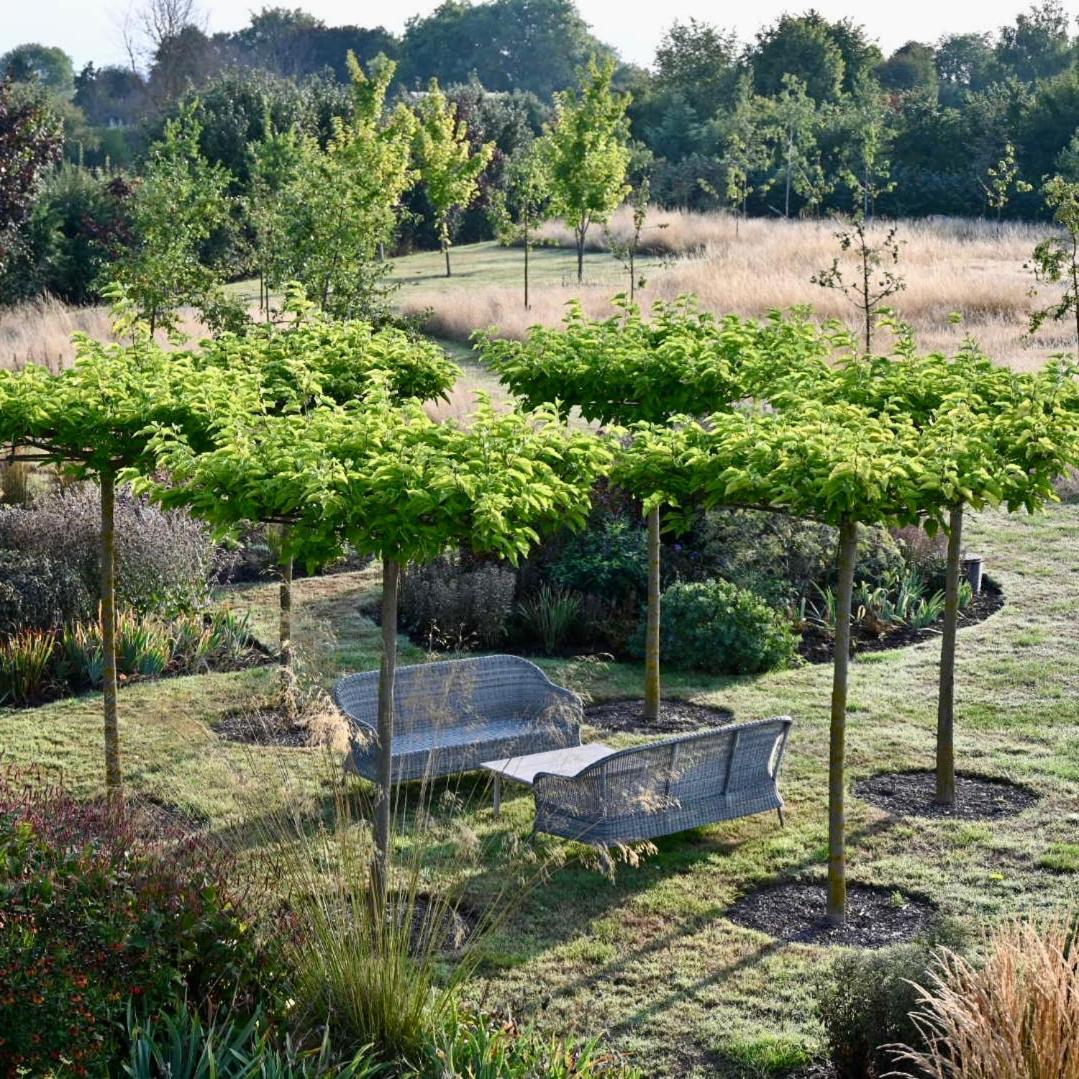 Chidham Orchard Dene Bed & Breakfast エクステリア 写真